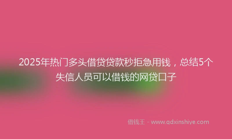 2025年热门多头借贷贷款秒拒急用钱，总结5个失信人员可以借钱的网贷口子