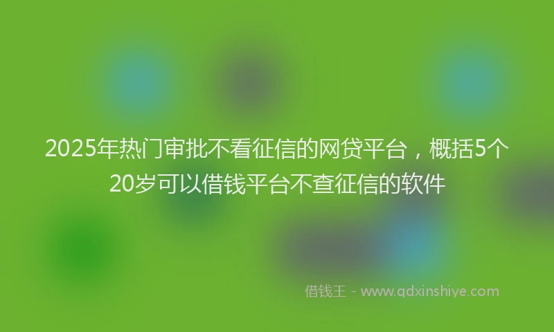 2025年热门审批不看征信的网贷平台，概括5个20岁可以借钱平台不查征信的软件