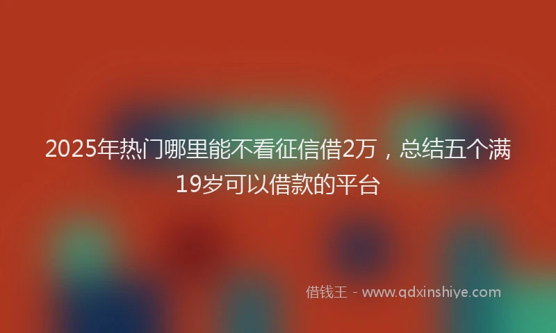 2025年热门哪里能不看征信借2万，总结五个满19岁可以借款的平台