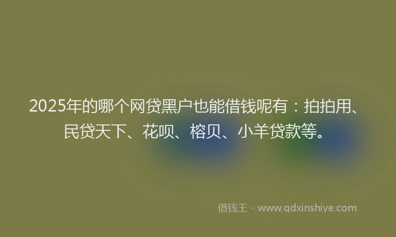 2025年的哪个网贷黑户也能借钱呢有：拍拍用、民贷天下、花呗、榕贝、小羊贷款等。