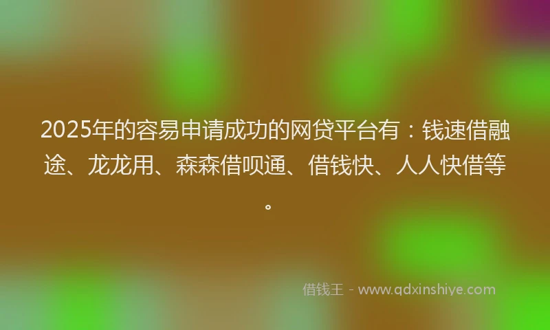 2025年的容易申请成功的网贷平台有：钱速借融途、龙龙用、森森借呗通、借钱快、人人快借等。