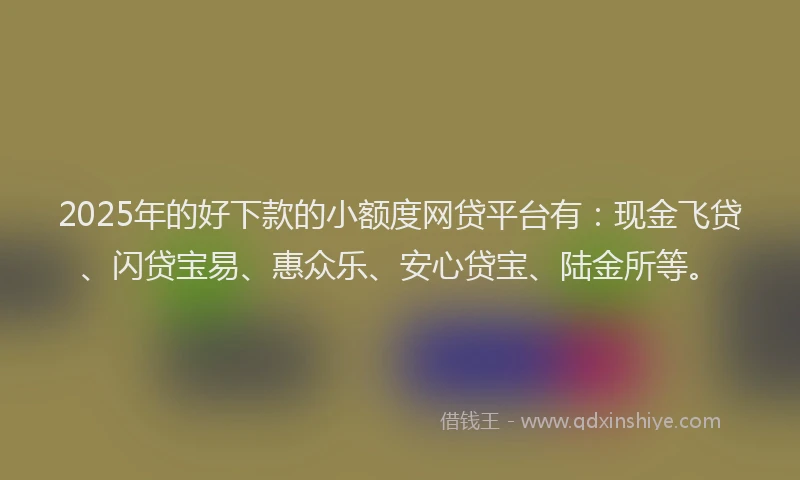 2025年的好下款的小额度网贷平台有：现金飞贷、闪贷宝易、惠众乐、安心贷宝、陆金所等。