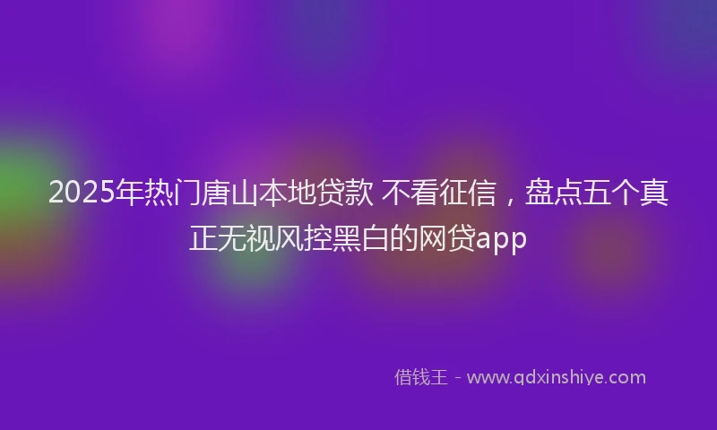 2025年热门唐山本地贷款 不看征信，盘点五个真正无视风控黑白的网贷app