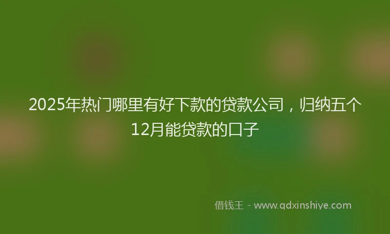2025年热门哪里有好下款的贷款公司，归纳五个12月能贷款的口子