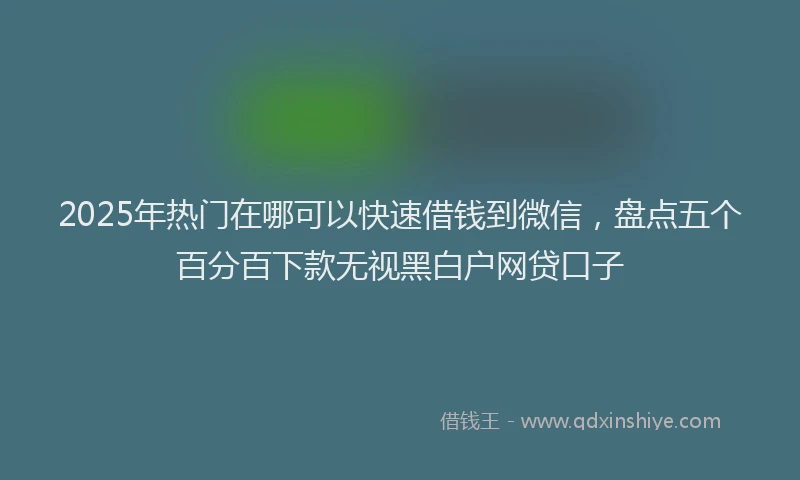2025年热门在哪可以快速借钱到微信，盘点五个百分百下款无视黑白户网贷口子