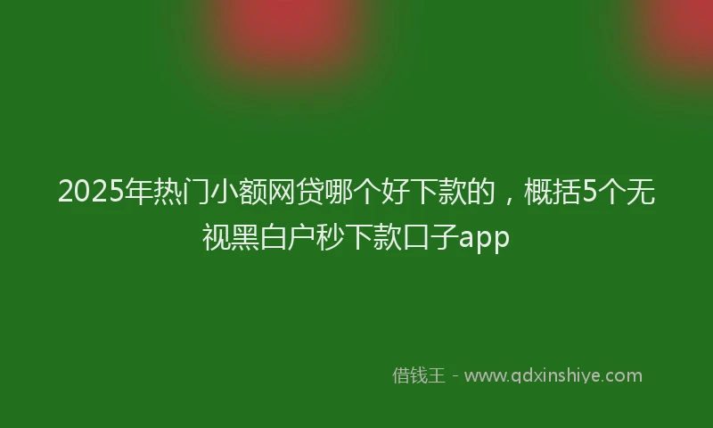 2025年热门小额网贷哪个好下款的，概括5个无视黑白户秒下款口子app