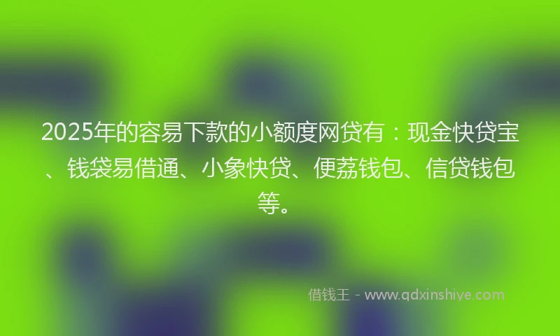 2025年的容易下款的小额度网贷有：现金快贷宝、钱袋易借通、小象快贷、便荔钱包、信贷钱包等。