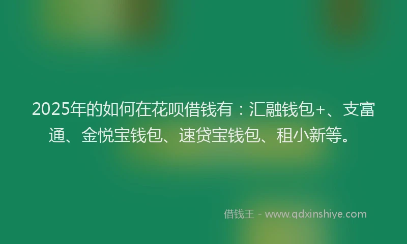 2025年的如何在花呗借钱有：汇融钱包+、支富通、金悦宝钱包、速贷宝钱包、租小新等。