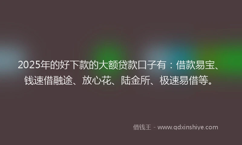 2025年的好下款的大额贷款口子有：借款易宝、钱速借融途、放心花、陆金所、极速易借等。