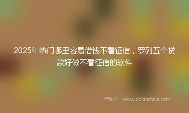 2025年热门哪里容易借钱不看征信，罗列五个贷款好做不看征信的软件