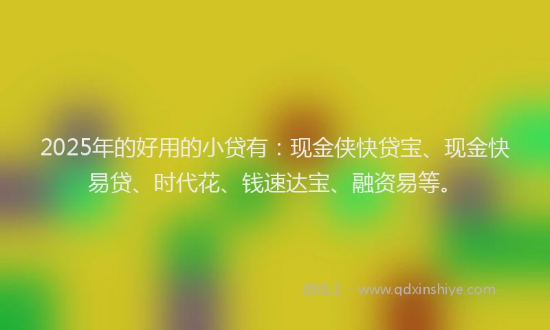2025年的好用的小贷有：现金侠快贷宝、现金快易贷、时代花、钱速达宝、融资易等。