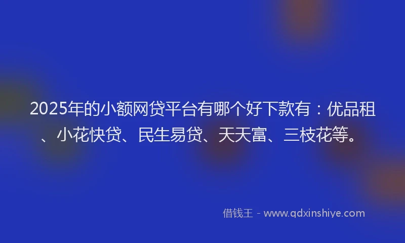 2025年的小额网贷平台有哪个好下款有：优品租、小花快贷、民生易贷、天天富、三枝花等。