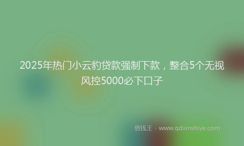 2025年热门小云豹贷款强制下款，整合5个无视风控5000必下口子