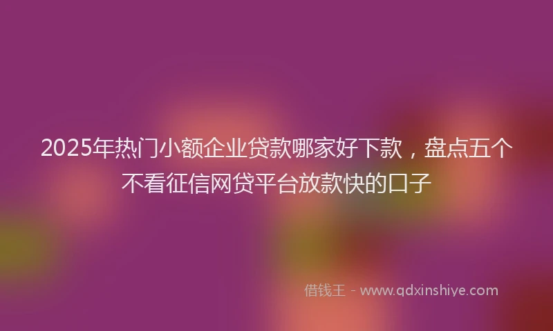 2025年热门小额企业贷款哪家好下款，盘点五个不看征信网贷平台放款快的口子