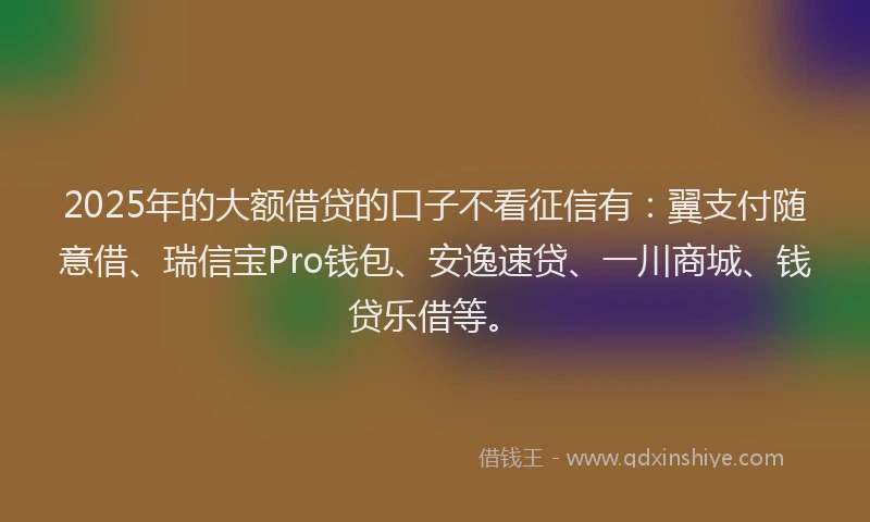 2025年的大额借贷的口子不看征信有：翼支付随意借、瑞信宝Pro钱包、安逸速贷、一川商城、钱贷乐借等。