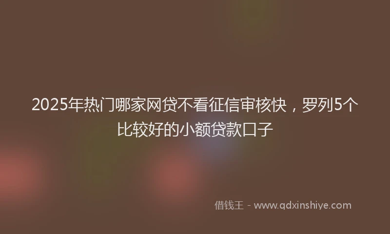 2025年热门哪家网贷不看征信审核快，罗列5个比较好的小额贷款口子
