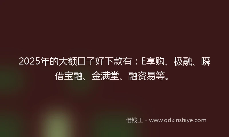 2025年的大额口子好下款有：E享购、极融、瞬借宝融、金满堂、融资易等。