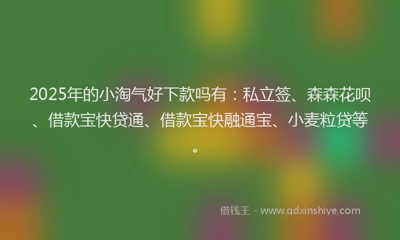 2025年的小淘气好下款吗有：私立签、森森花呗、借款宝快贷通、借款宝快融通宝、小麦粒贷等。