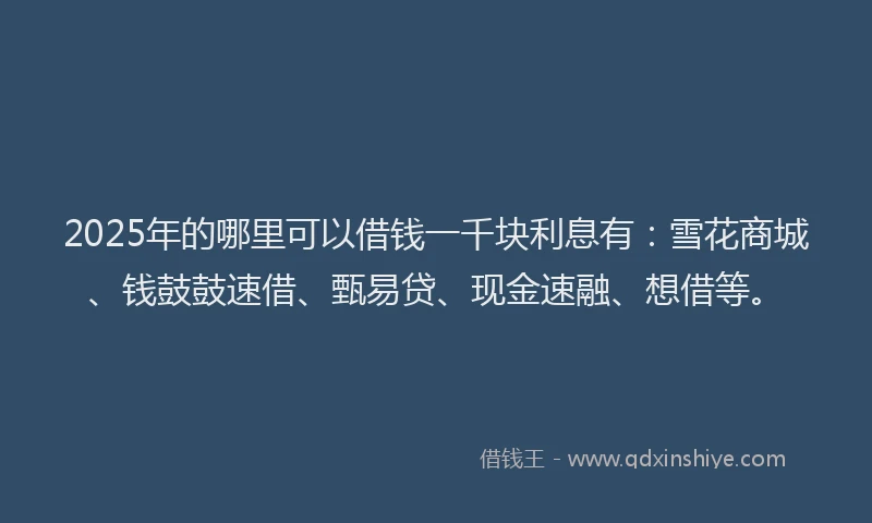 2025年的哪里可以借钱一千块利息有：雪花商城、钱鼓鼓速借、甄易贷、现金速融、想借等。