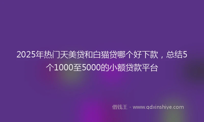 2025年热门天美贷和白猫贷哪个好下款，总结5个1000至5000的小额贷款平台