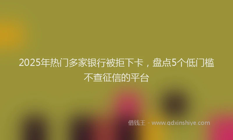 2025年热门多家银行被拒下卡，盘点5个低门槛不查征信的平台