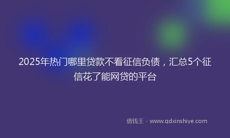 2025年热门哪里贷款不看征信负债，汇总5个征信花了能网贷的平台