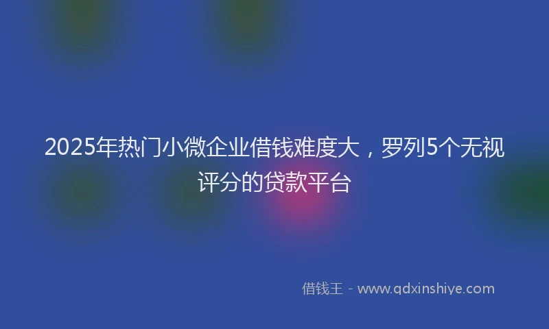 2025年热门小微企业借钱难度大，罗列5个无视评分的贷款平台