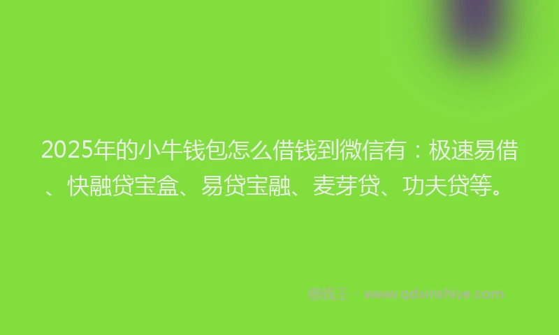 2025年的小牛钱包怎么借钱到微信有：极速易借、快融贷宝盒、易贷宝融、麦芽贷、功夫贷等。