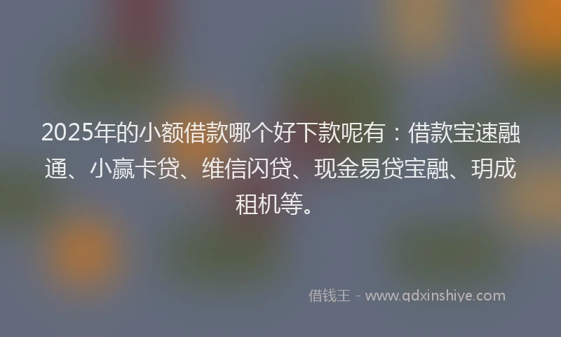 2025年的小额借款哪个好下款呢有：借款宝速融通、小赢卡贷、维信闪贷、现金易贷宝融、玥成租机等。