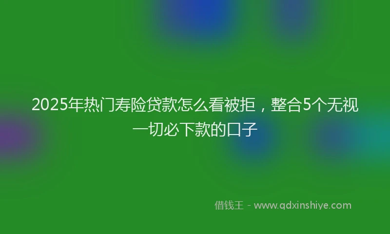 2025年热门寿险贷款怎么看被拒，整合5个无视一切必下款的口子