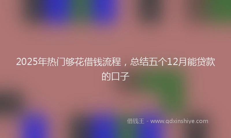 2025年热门够花借钱流程，总结五个12月能贷款的口子