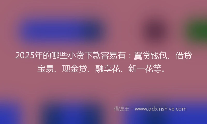 2025年的哪些小贷下款容易有：翼贷钱包、借贷宝易、现金贷、融享花、新一花等。