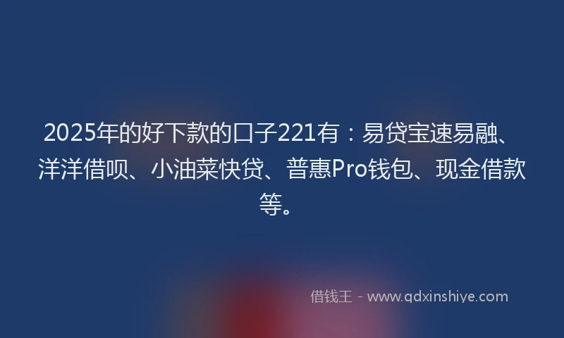 2025年的好下款的口子221有：易贷宝速易融、洋洋借呗、小油菜快贷、普惠Pro钱包、现金借款等。
