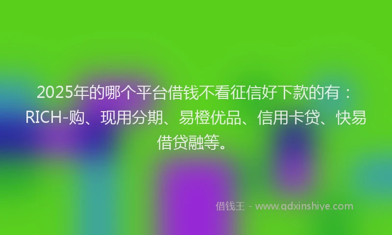 2025年的哪个平台借钱不看征信好下款的有：RICH-购、现用分期、易橙优品、信用卡贷、快易借贷融等。