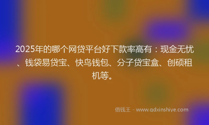 2025年的哪个网贷平台好下款率高有：现金无忧、钱袋易贷宝、快鸟钱包、分子贷宝盒、创硕租机等。