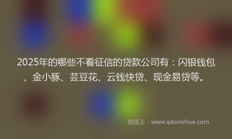 2025年的哪些不看征信的贷款公司有：闪银钱包、金小豚、芸豆花、云钱快贷、现金易贷等。
