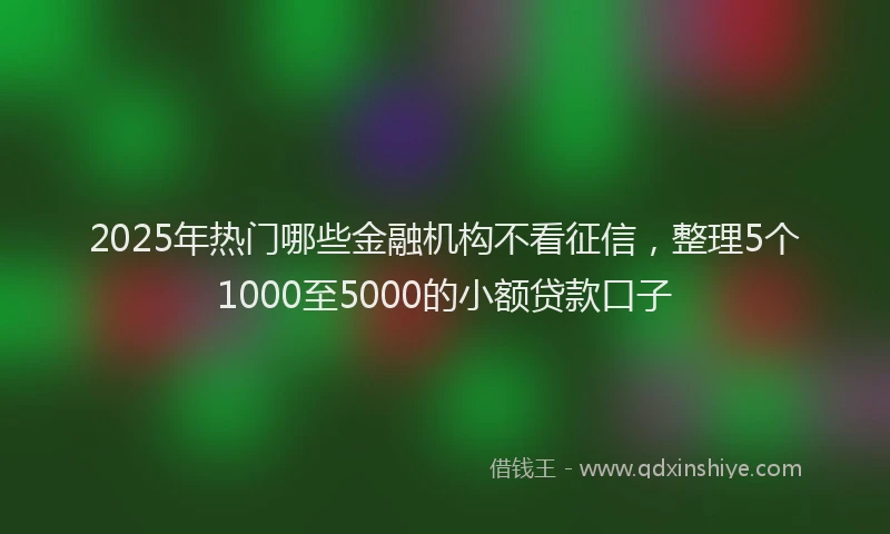 2025年热门哪些金融机构不看征信，整理5个1000至5000的小额贷款口子