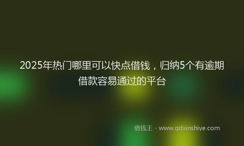 2025年热门哪里可以快点借钱，归纳5个有逾期借款容易通过的平台