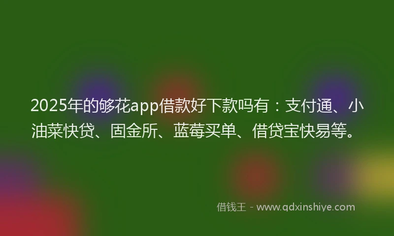 2025年的够花app借款好下款吗有：支付通、小油菜快贷、固金所、蓝莓买单、借贷宝快易等。
