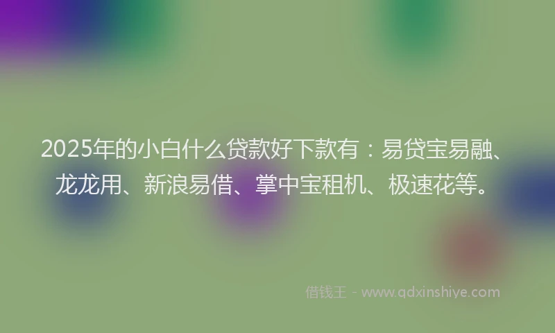 2025年的小白什么贷款好下款有：易贷宝易融、龙龙用、新浪易借、掌中宝租机、极速花等。