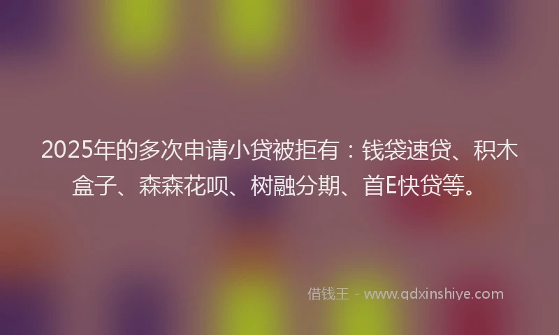 2025年的多次申请小贷被拒有：钱袋速贷、积木盒子、森森花呗、树融分期、首E快贷等。