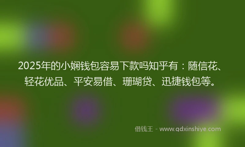 2025年的小娴钱包容易下款吗知乎有：随信花、轻花优品、平安易借、珊瑚贷、迅捷钱包等。
