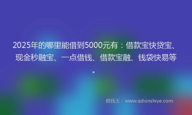 2025年的哪里能借到5000元有：借款宝快贷宝、现金秒融宝、一点借钱、借款宝融、钱袋快易等。