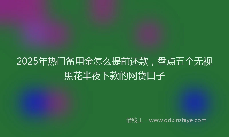 2025年热门备用金怎么提前还款，盘点五个无视黑花半夜下款的网贷口子