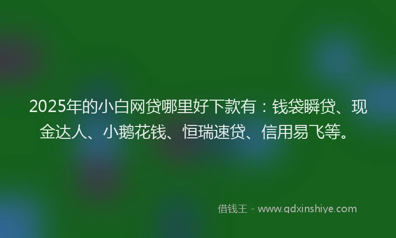 2025年的小白网贷哪里好下款有:钱袋瞬贷、现金达人、小鹅花钱、恒瑞速贷、信用易飞等。
