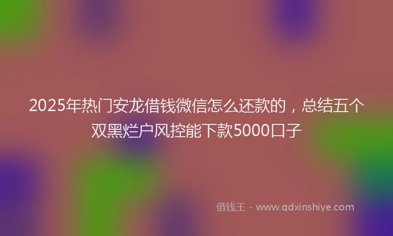 2025年热门安龙借钱微信怎么还款的，总结五个双黑烂户风控能下款5000口子