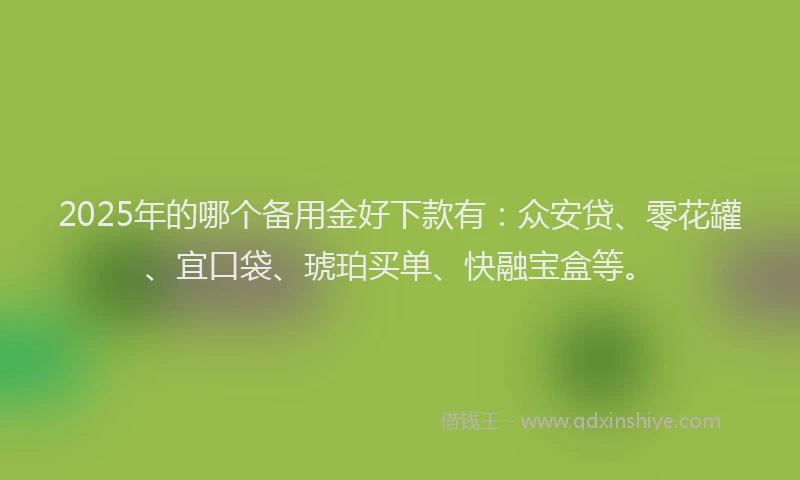 2025年的哪个备用金好下款有：众安贷、零花罐、宜口袋、琥珀买单、快融宝盒等。