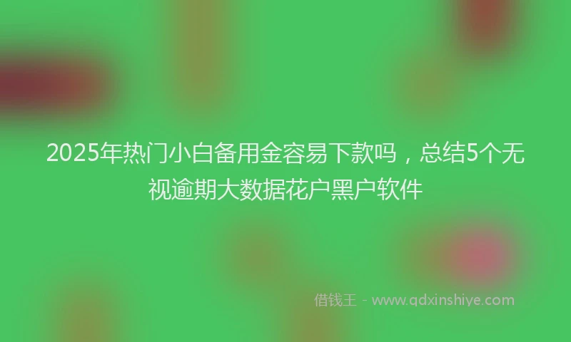 2025年热门小白备用金容易下款吗，总结5个无视逾期大数据花户黑户软件