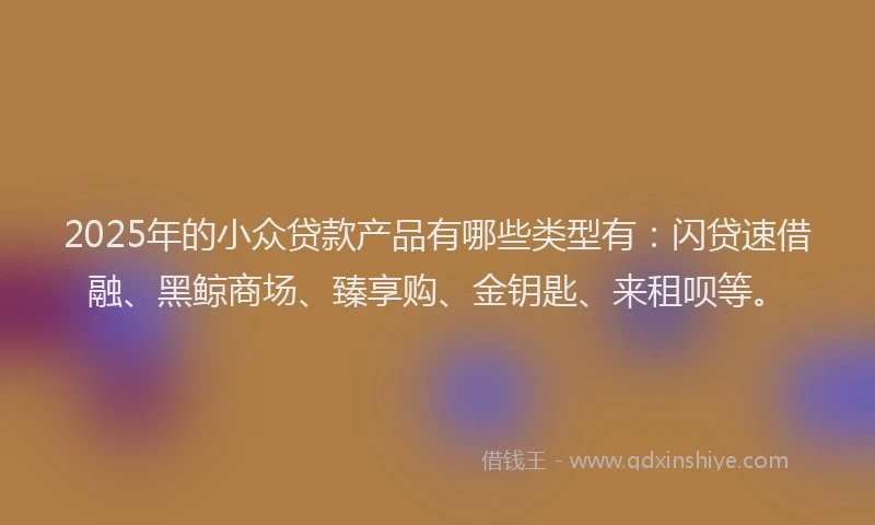 2025年的小众贷款产品有哪些类型有：闪贷速借融、黑鲸商场、臻享购、金钥匙、来租呗等。