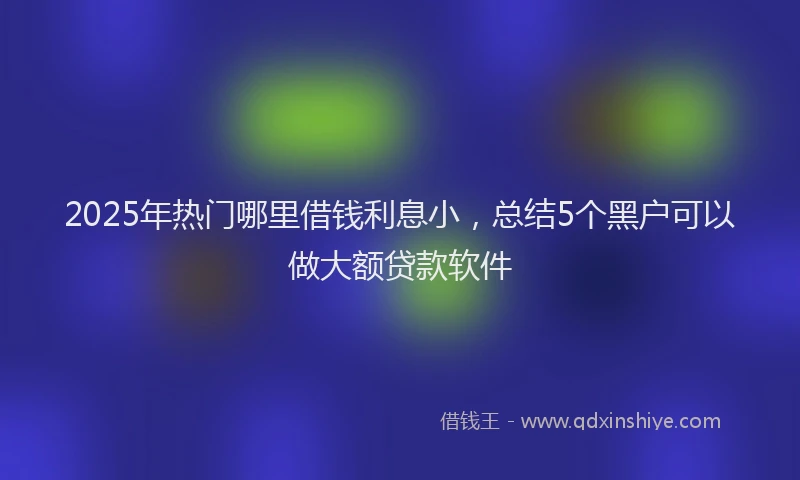 2025年热门哪里借钱利息小，总结5个黑户可以做大额贷款软件
